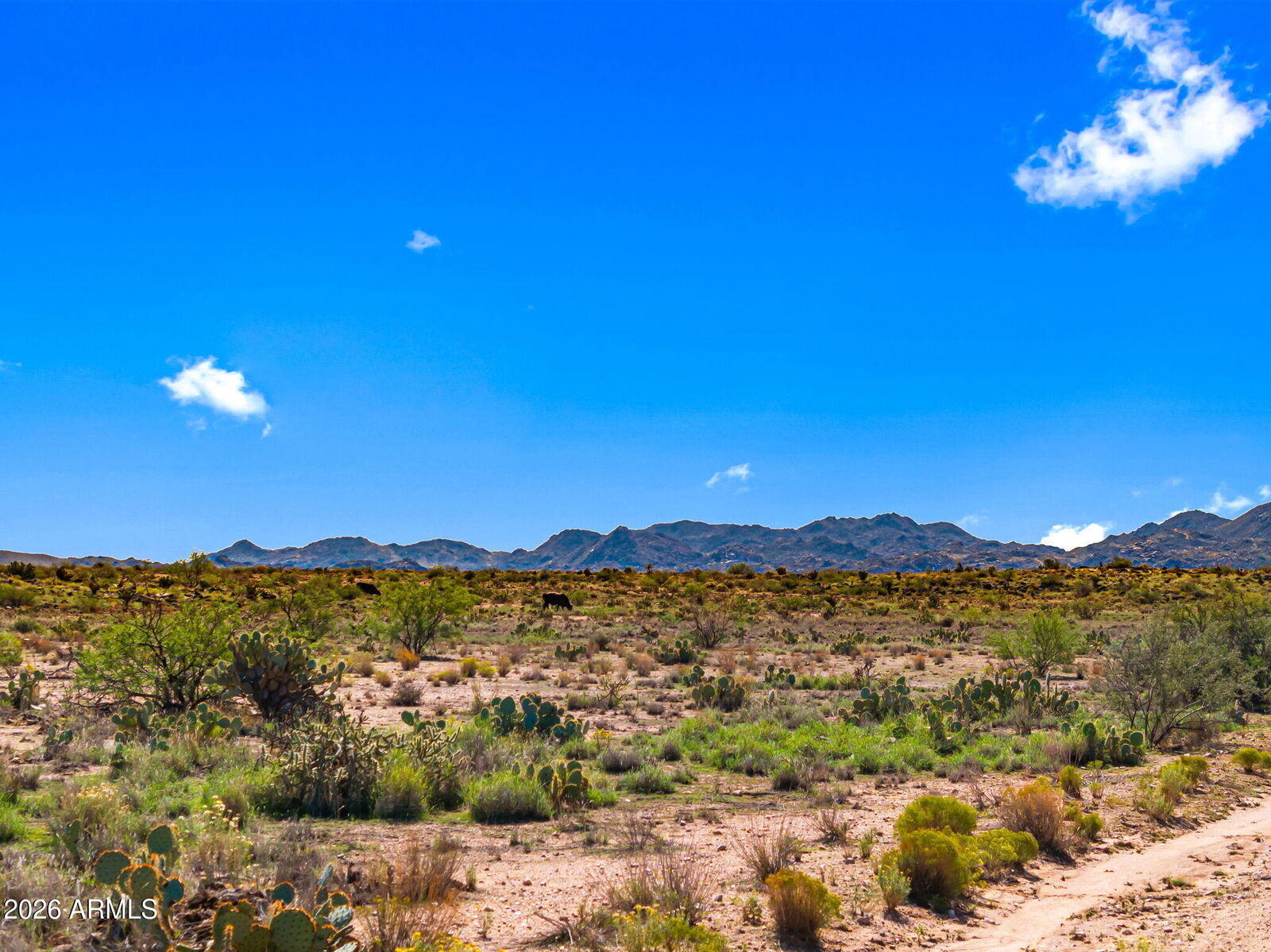 Property Photo:  Lot 55 S Joe Hancock Trail 55  AZ 85332 