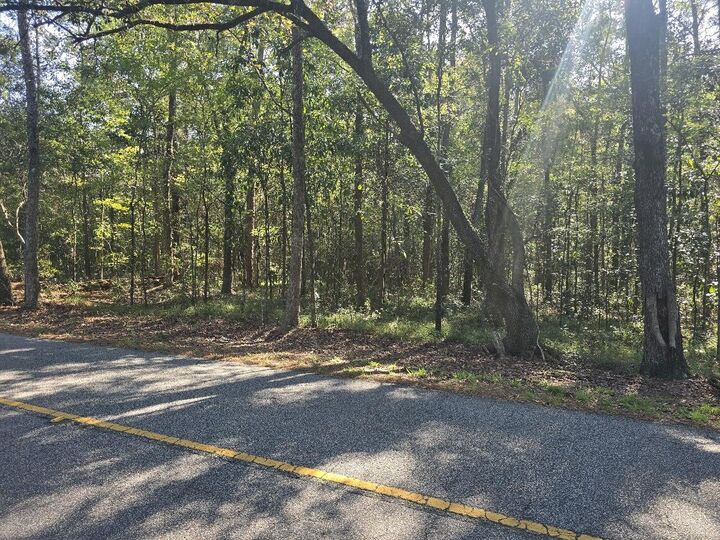 Property Photo: 2442 Peirce Road SC 29435