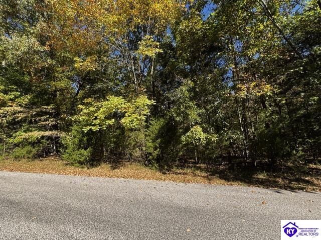 Property Photo:  Lot 99 Waxwing Road  KY 40108 