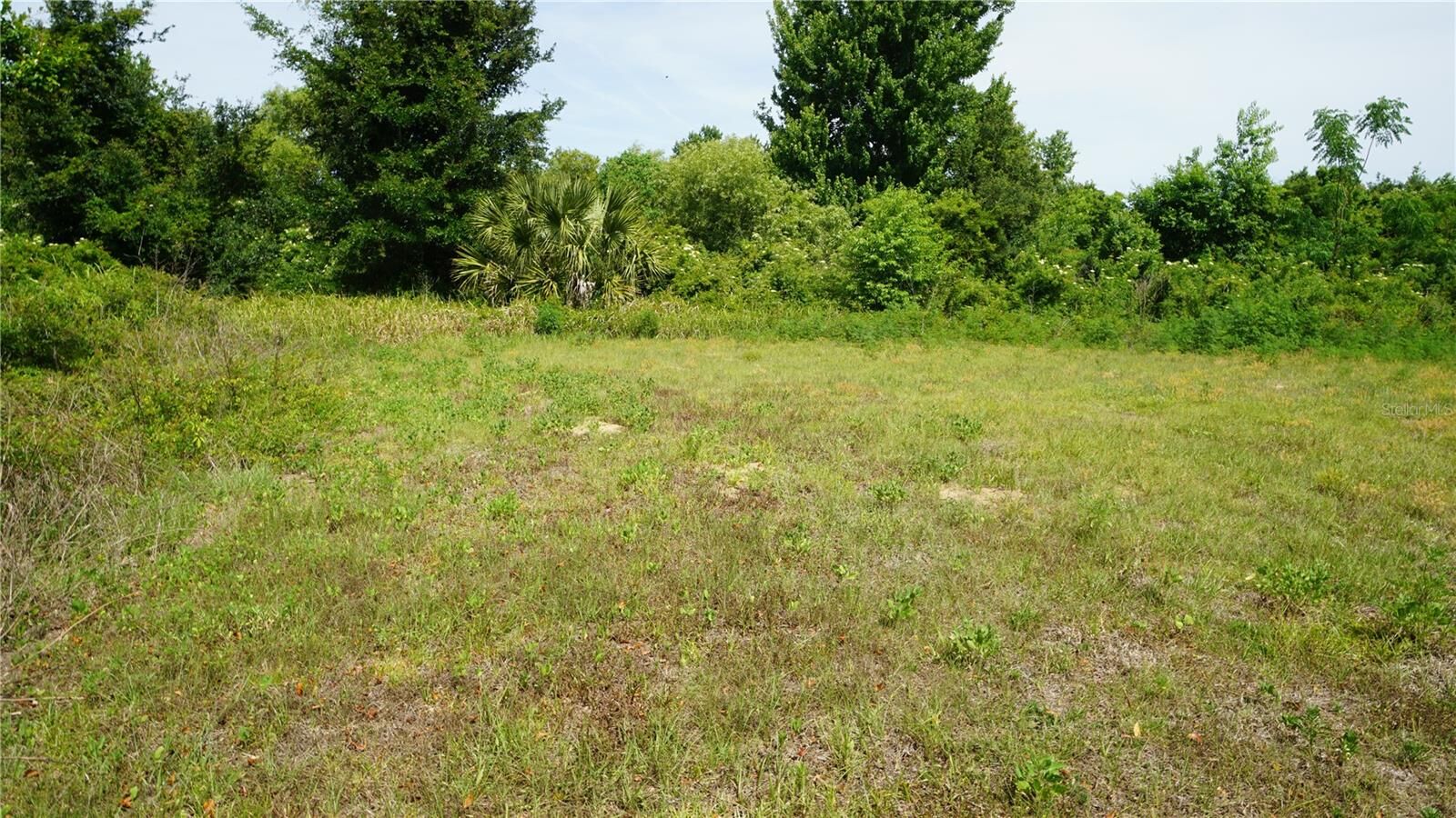 Property Photo:  Marilyn Avenue  FL 34737 
