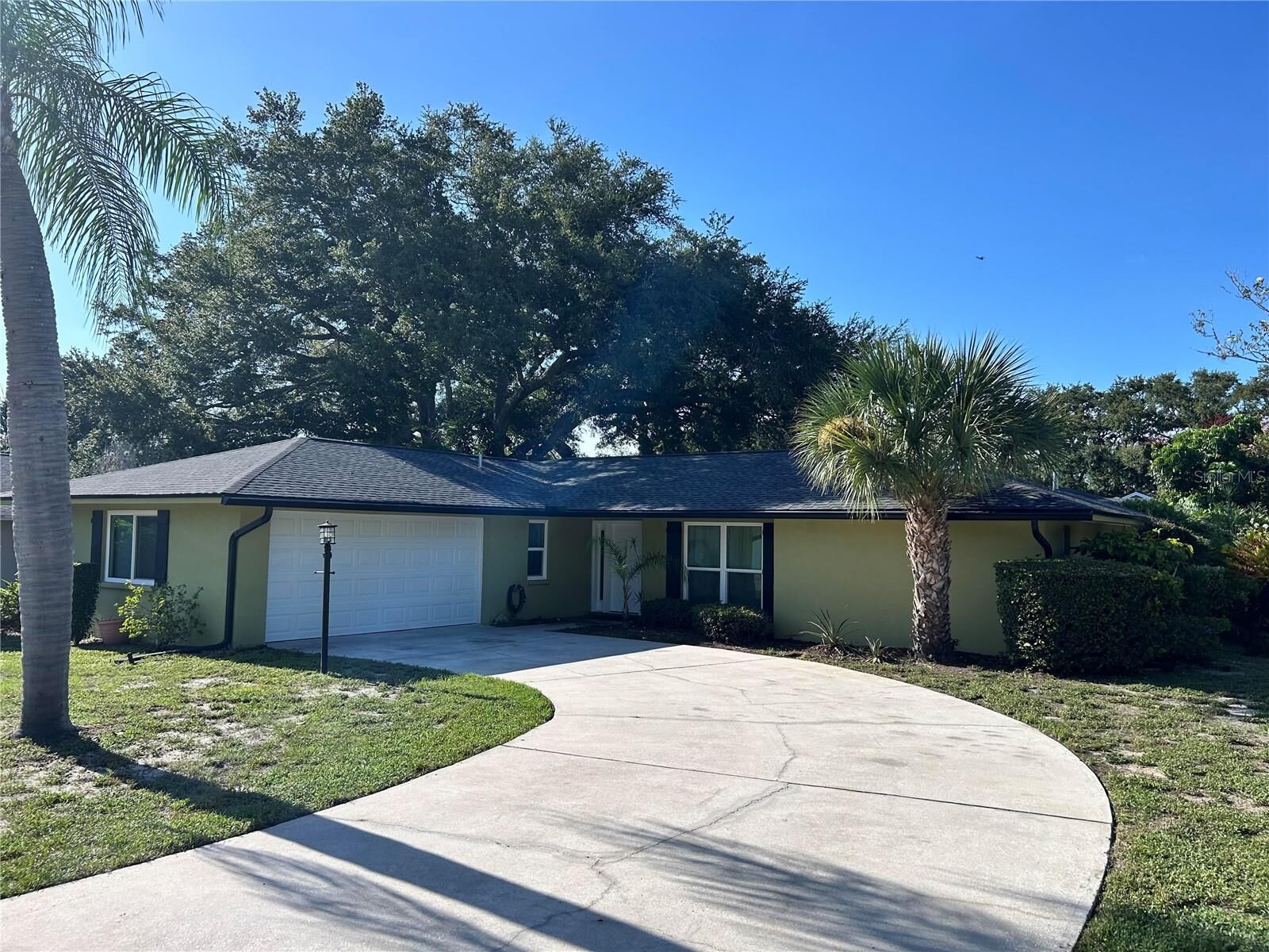 Property Photo: 2019 Forest View Drive FL 34683