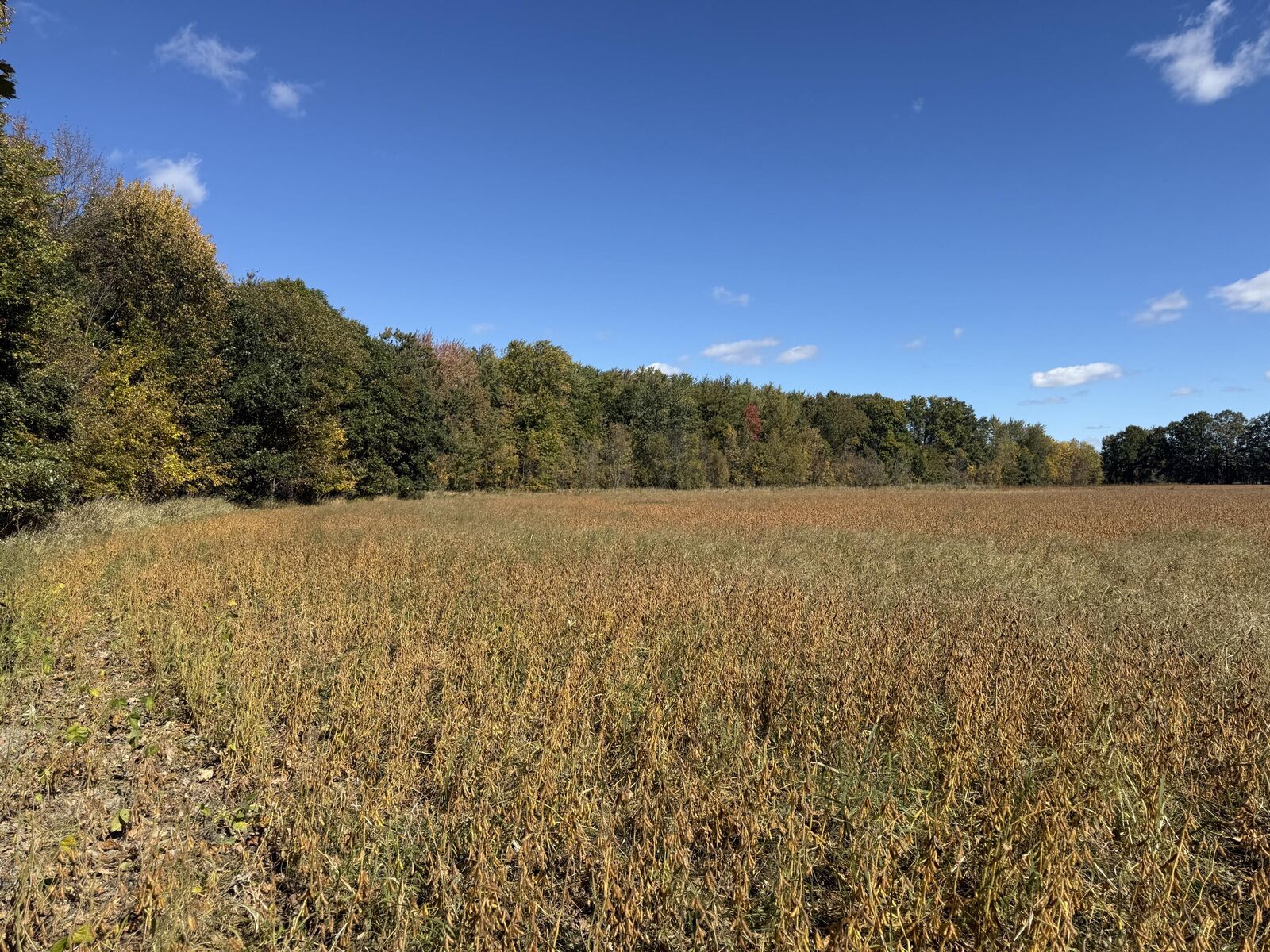 Property Photo:  2867 Capac Road  MI 48002 