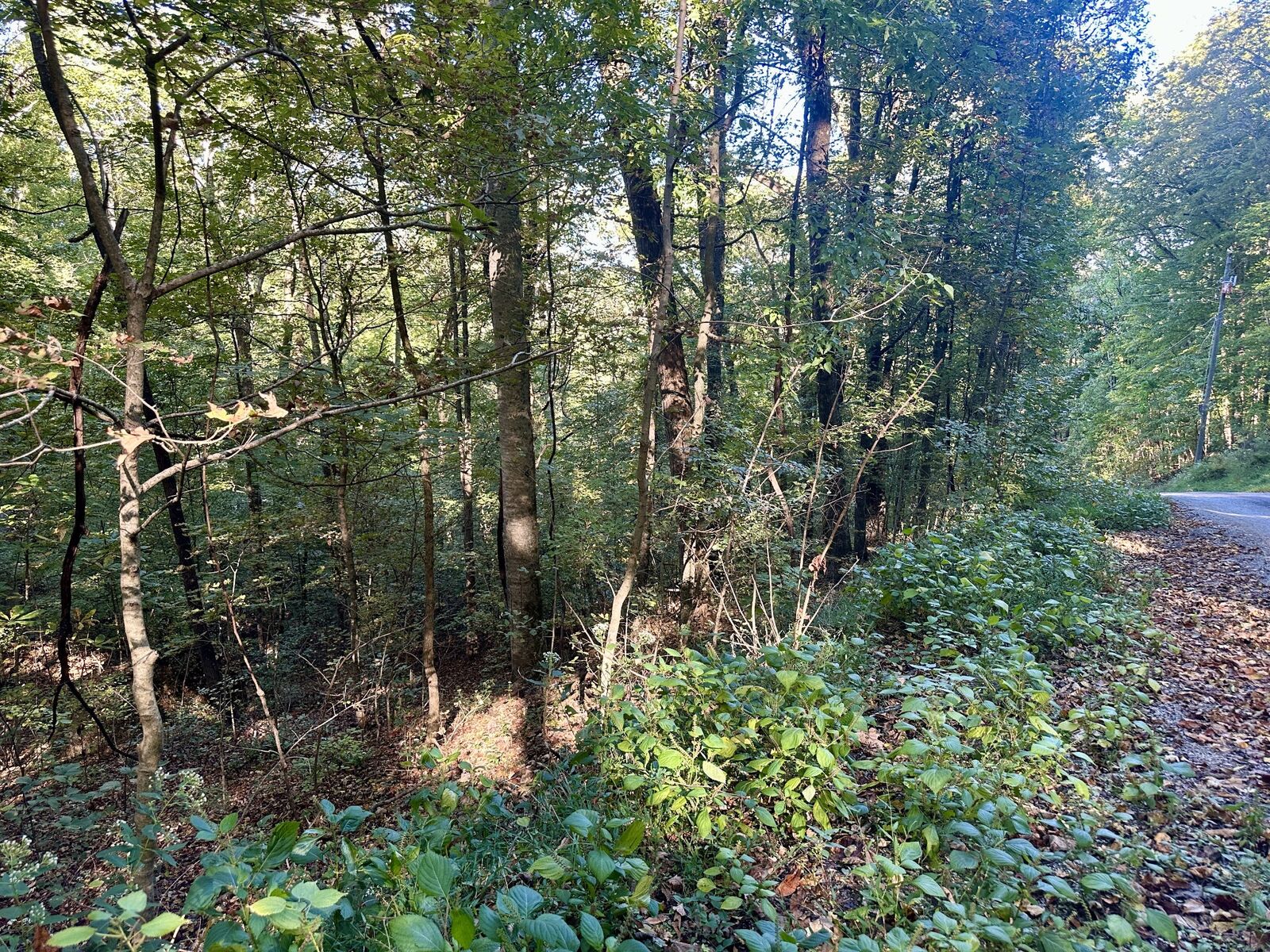 Property Photo:  0 Lakeside Dr  TN 37166 
