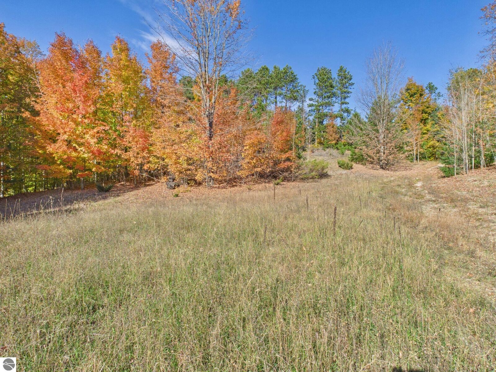 Property Photo:  3024 East Traverse Highway  MI 49684 