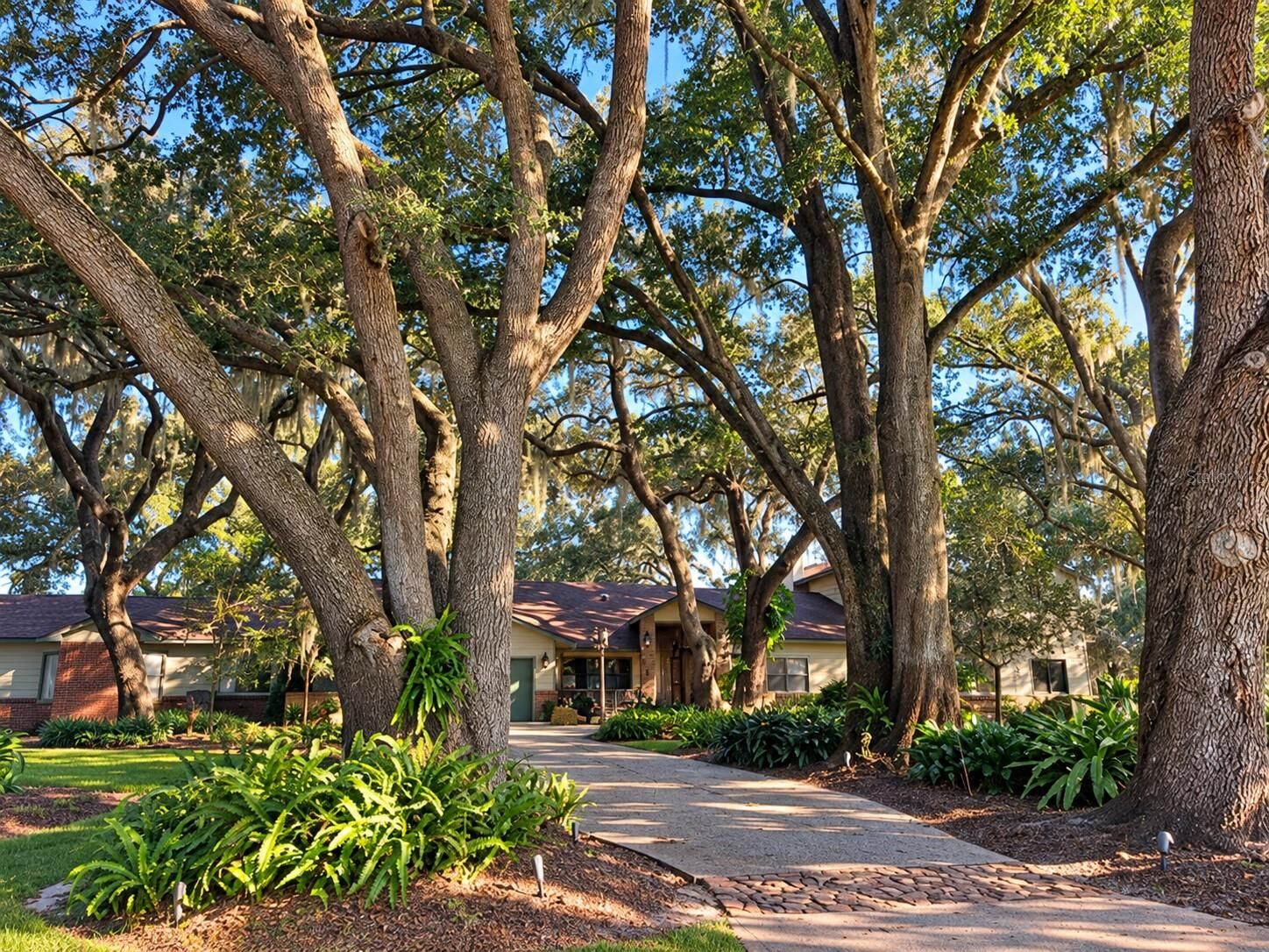 Property Photo:  15211 Vinola Place  FL 34756 