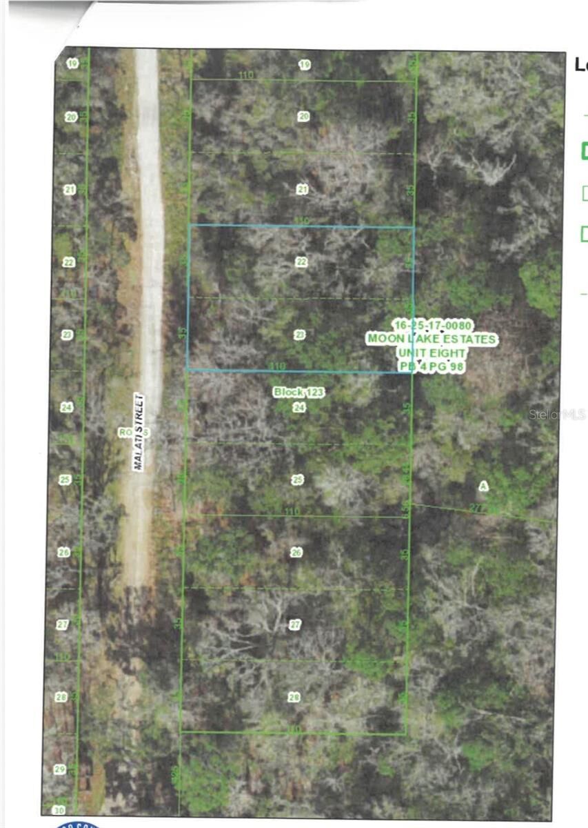 Property Photo:  Malati Street  FL 34654 