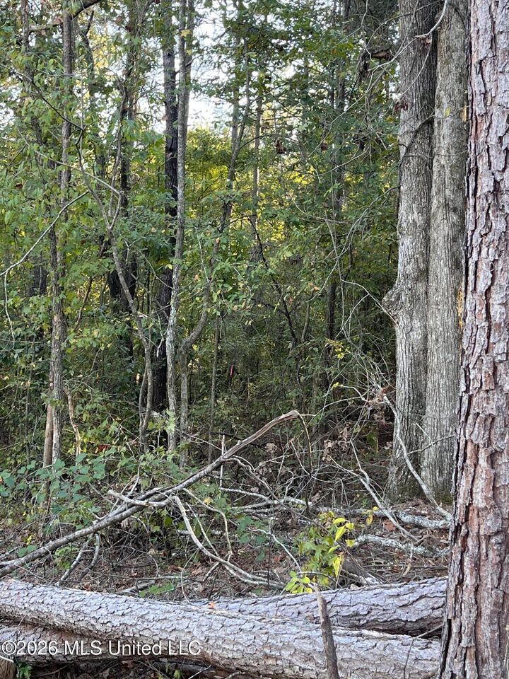 Property Photo:  Mississippi Highway 310  MS 38619 
