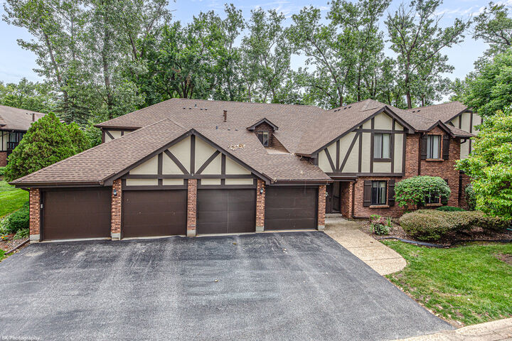 Property Photo:  8127 Chestnut Drive 58C  IL 60465 