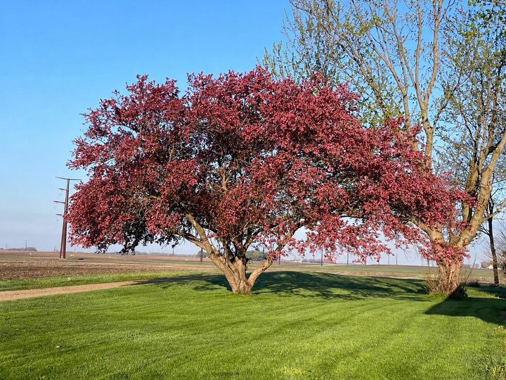 Property Photo:  1414 130th Avenue  MN 56181 