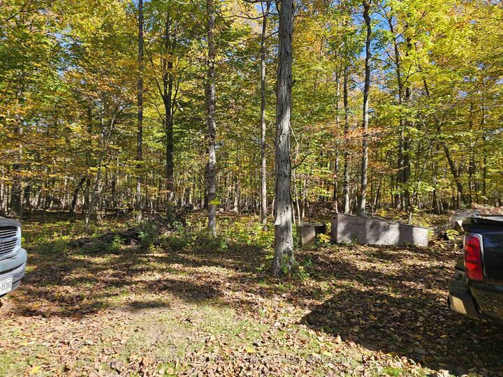 Property Photo:  39306 Bush Line  ON N5P 3S9 