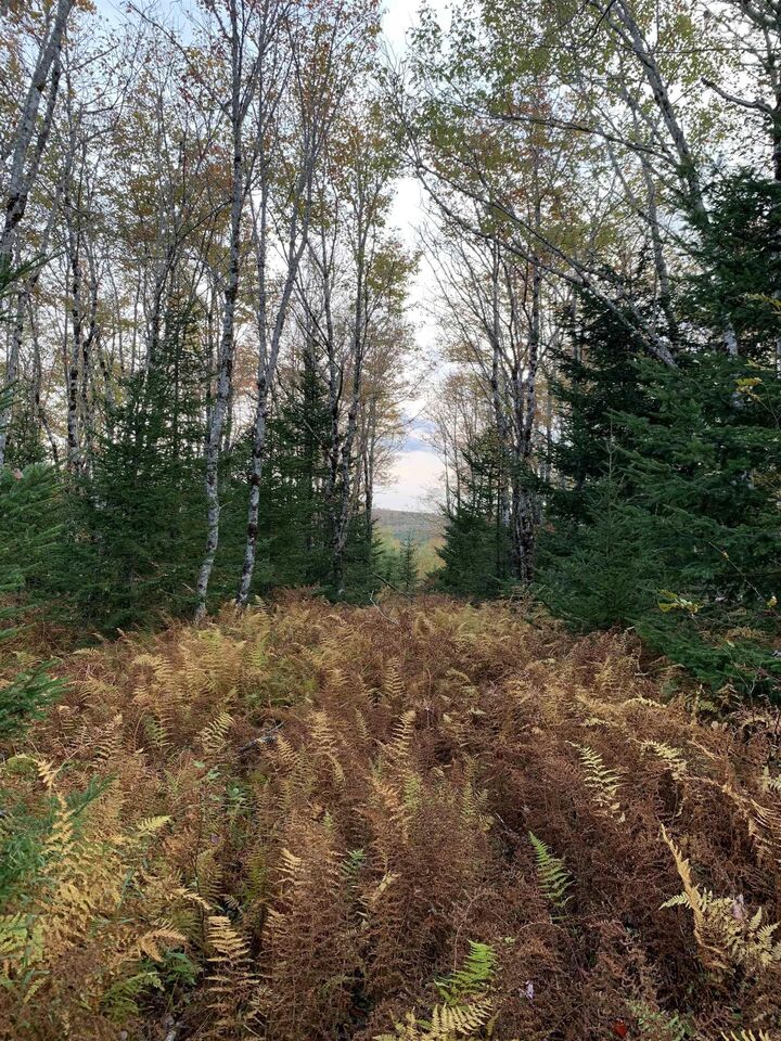 Property Photo:  Block 7 No 316 Highway  NS B0H 1J0 