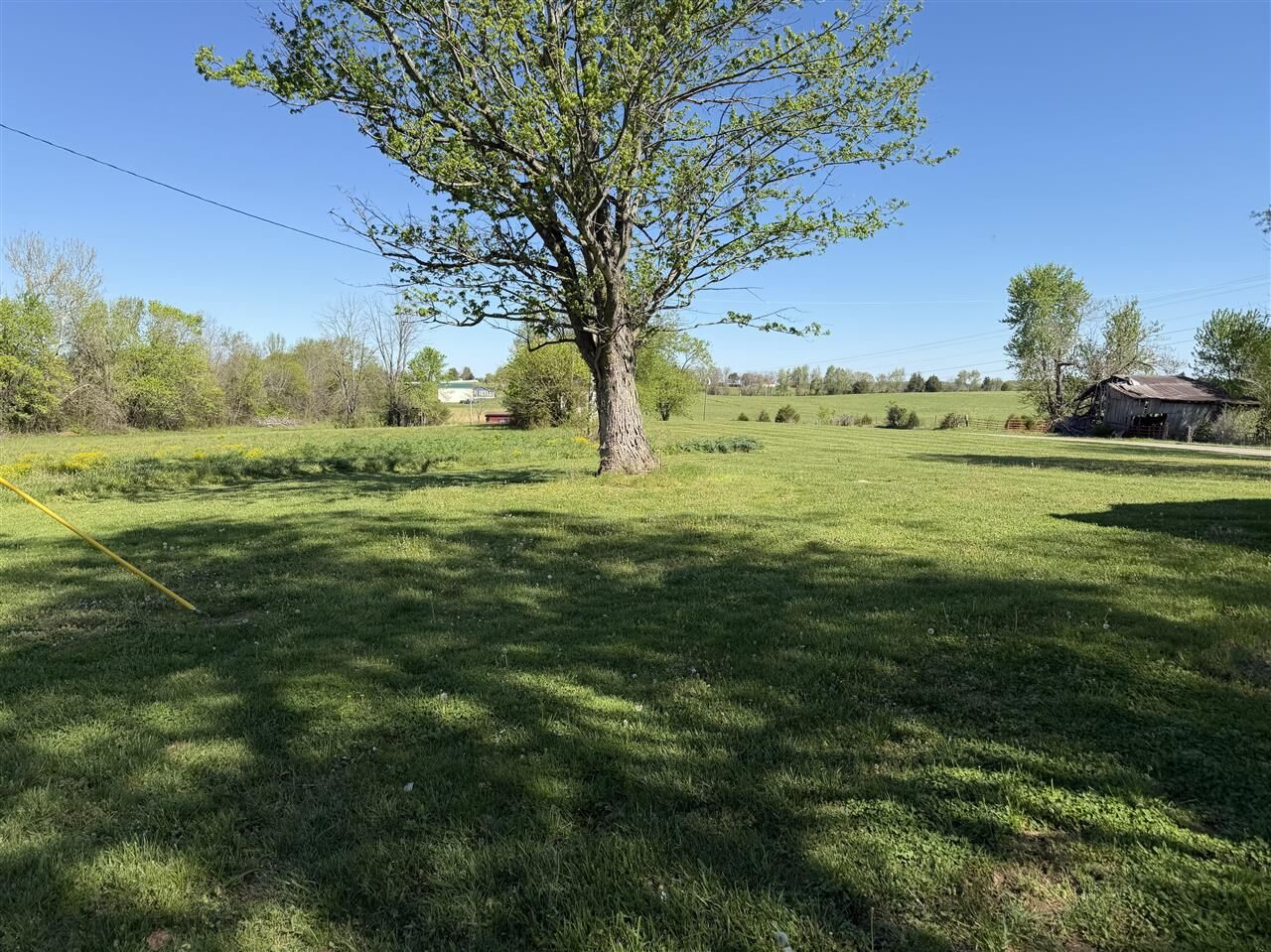 Property Photo:  Tract 5 Brownsville Road  KY 42160 