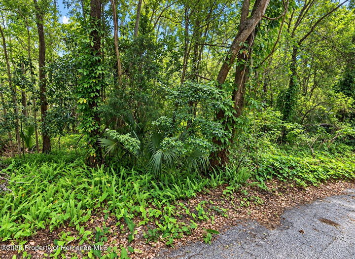 Property Photo:  0 Olive Street  FL 34601 