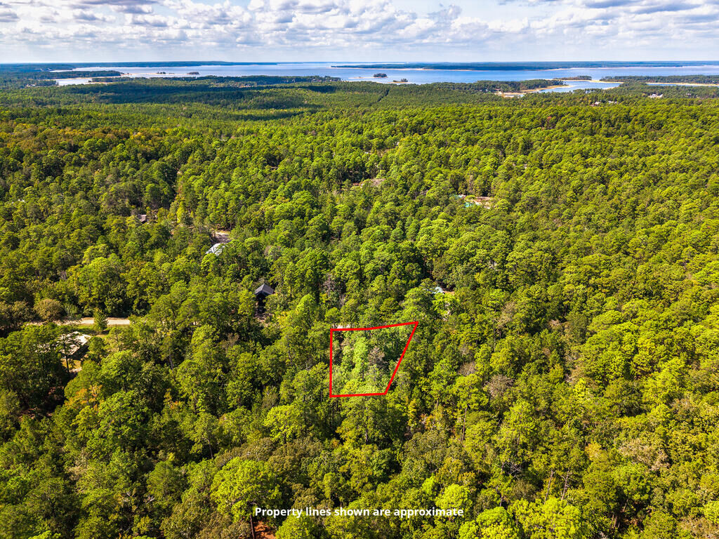 Property Photo:  Lot 139 Deergrass Drive  TX 75931 