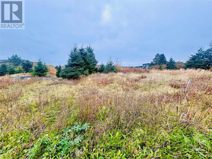 Property Photo:  5 Hill Road  NL A0B 1P0 