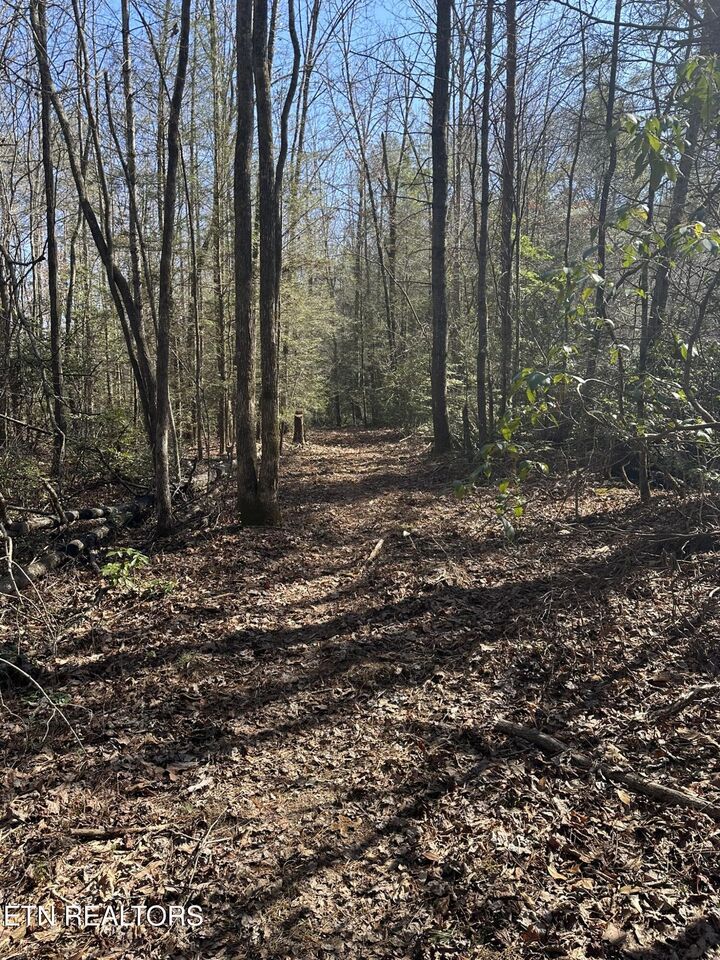 Property Photo:  247 Copperhead Rd  TN 37829 