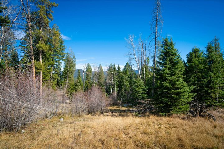 Property Photo:  Tbd Delmoe Lake Road  MT 59276 