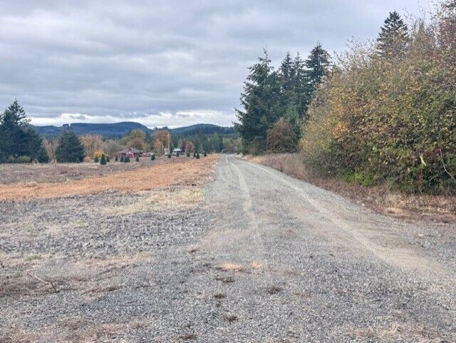 Property Photo: 0 Tennessee Road Lot 2 WA 98596
