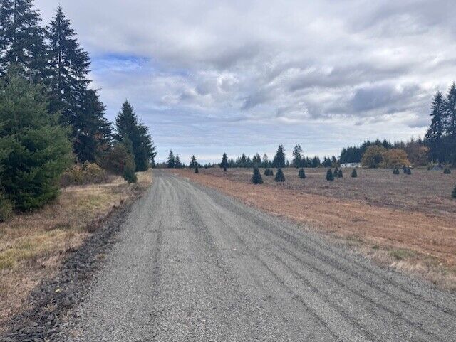 Property Photo: 0 Tennessee Road Lot 3 WA 98596