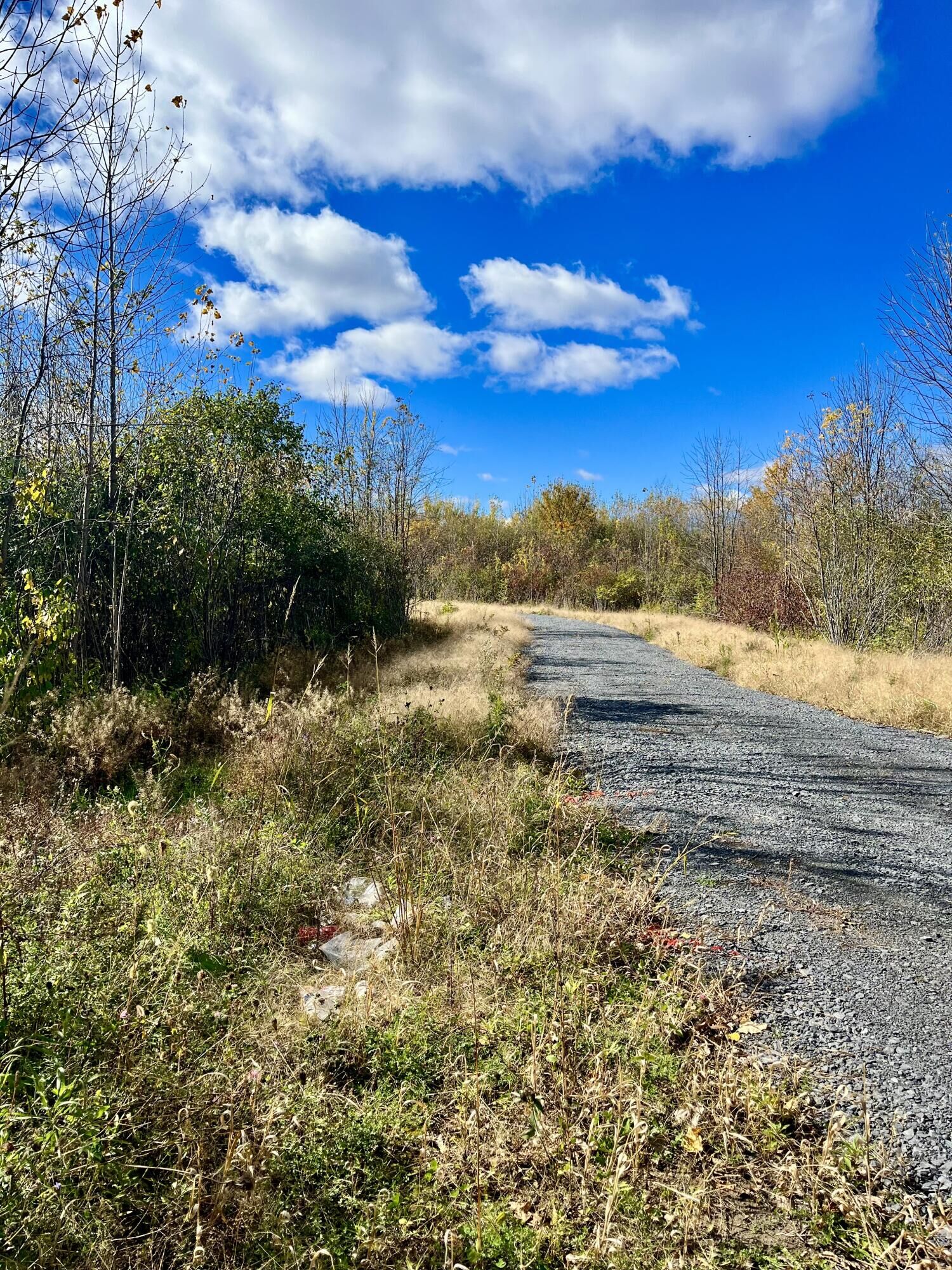 Property Photo: 00 Grove Street NY 12944