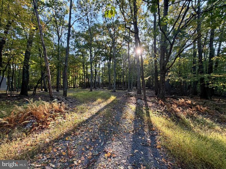 Property Photo:  323 White Face Circle  PA 17985 