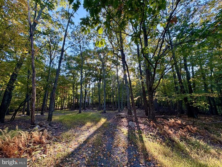 Property Photo: 323 White Face Circle PA 17985
