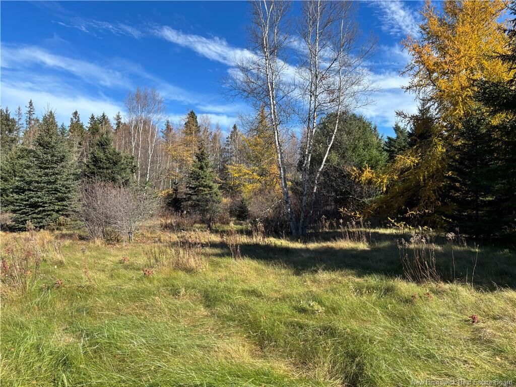 Property Photo:  2110 Saint-Charles South Road  NB E4W 4W6 