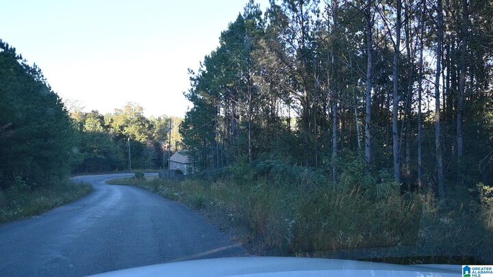 Property Photo:  0 Willowbrook Court 20  AL 35049 