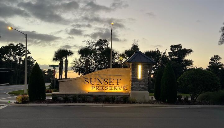 Property Photo:  4162 Sunset Preserve Boulevard  FL 32820 