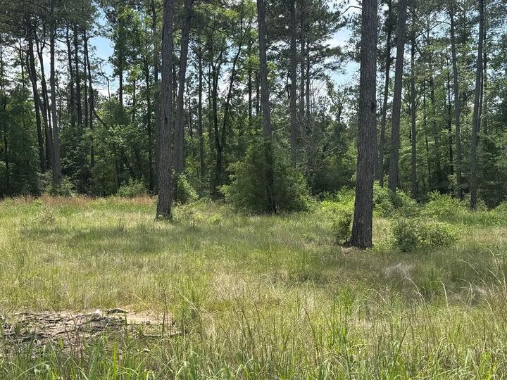 Property Photo: Lot 009 Private Rd 6028 TX 75931