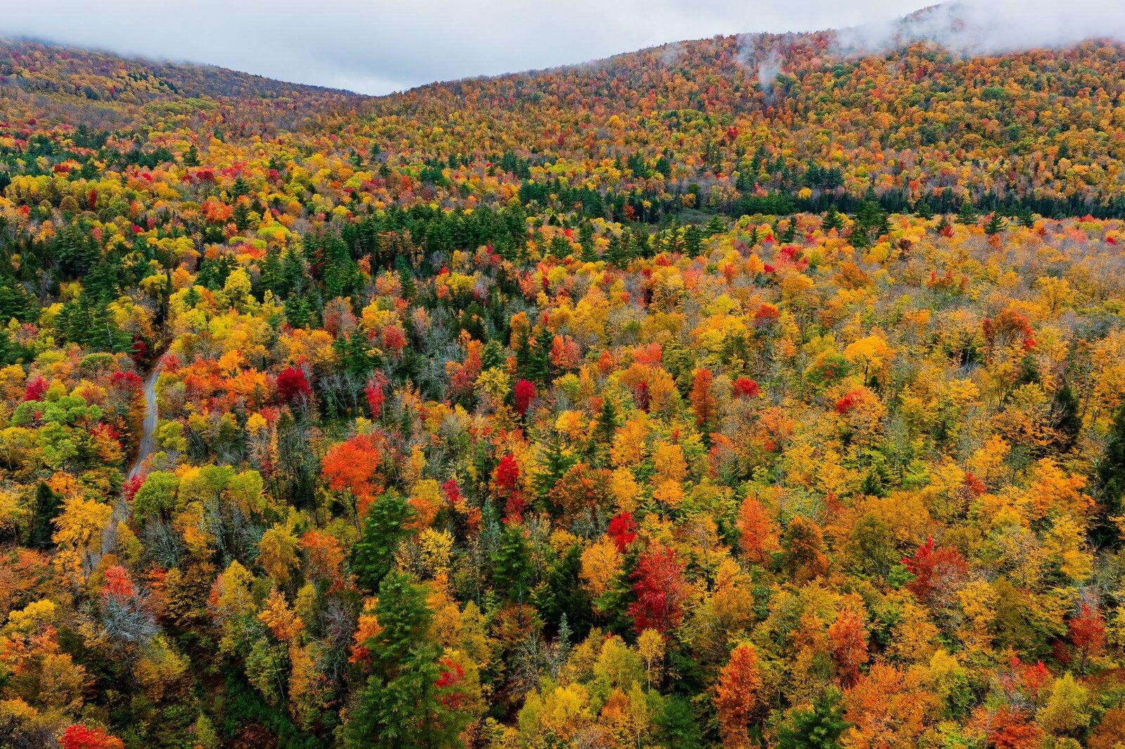 Property Photo:  Lot 65 Piermont Heights Road  NH 03777 