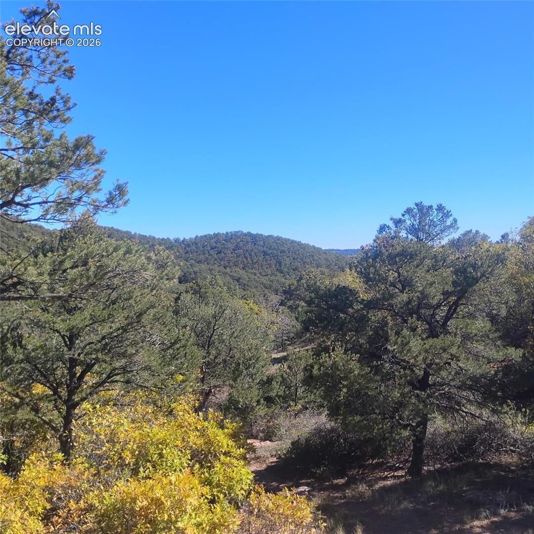 Property Photo: 468 Rye Whiskey Trail CO 81212