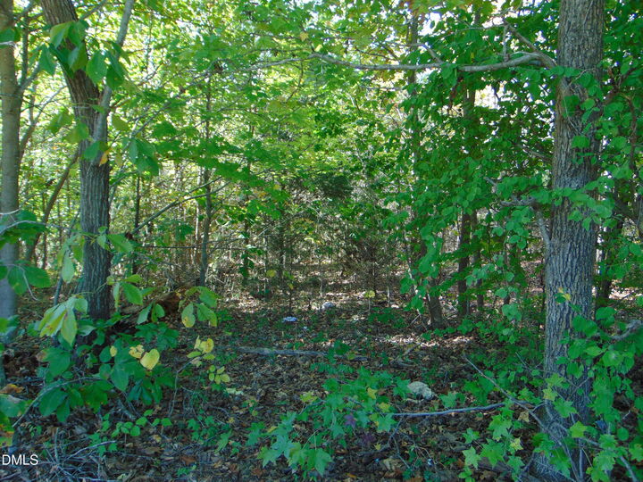 Property Photo:  Lot 10 Bill Smith Road  NC 27315 