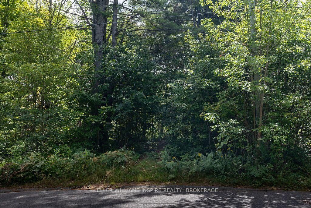 Property Photo:  0 Spruce Street  ON P0B 1A0 