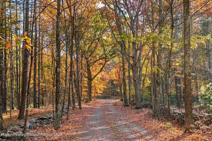 Property Photo: Lot 3 Game Farm NY 12414