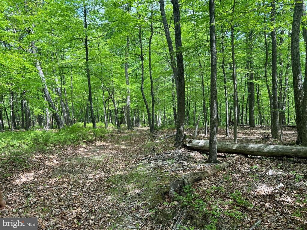 Property Photo: N North River Road WV 26704