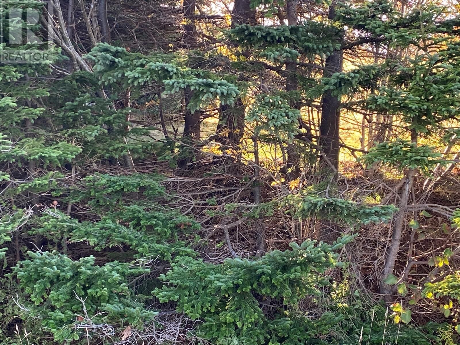 Property Photo:  27 Old Bay Bulls Road  NL A1G 1C5 