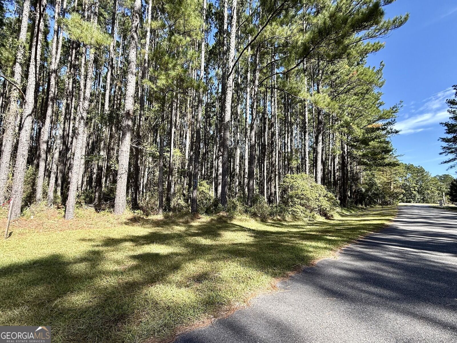 Property Photo:  0 La Vento Lane  GA 31565 