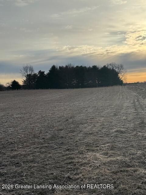 Property Photo:  0 S Watson Road  MI 48879 