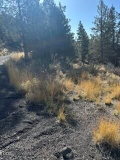 Property Photo:  0 Telephone Flat Road  OR 97624 