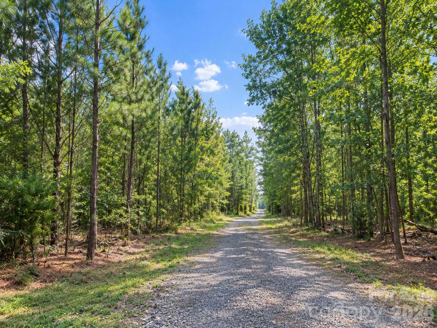 Property Photo:  0 Magnificent Trail Lots 1-5  NC 27278 