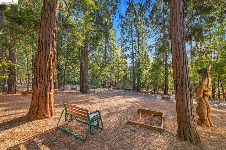 Property Photo: 24477 Lodge Way CA 95370