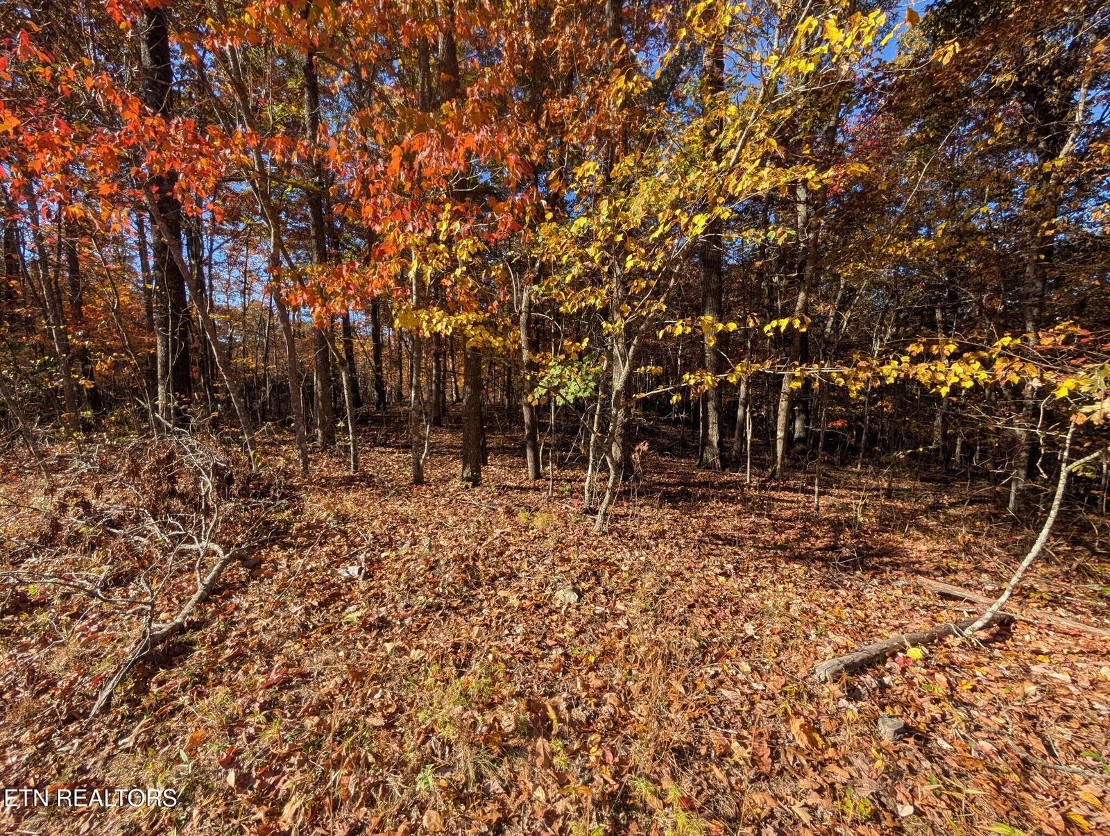 Property Photo:  Belmont Circle - Lot 44  TN 38574 