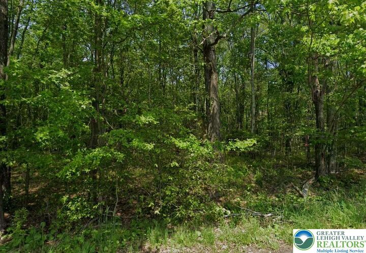 Property Photo:  Cross Street 4  PA 18347 