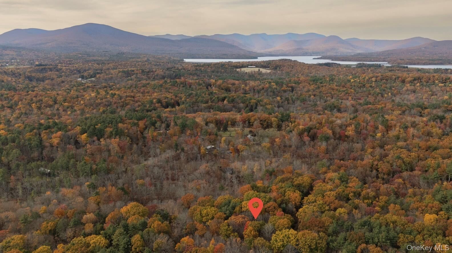 Property Photo:  149 Beaverkill Road  NY 12401 