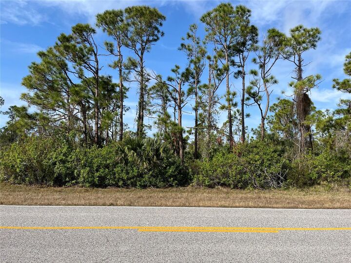 Property Photo:  14767 San Domingo Boulevard  FL 33981 