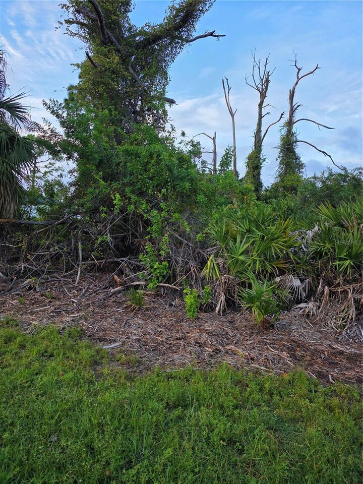 Property Photo: 13488 Drysdale Avenue FL 33981