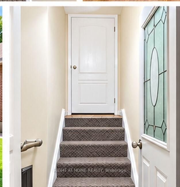 Property Photo:  14 Alhart Drive Bsmt  ON M9V 2M9 