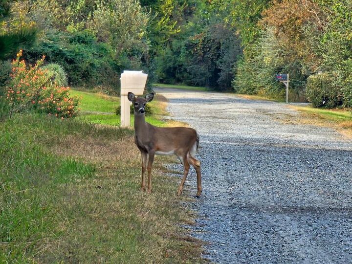 Property Photo:  Lot 53 Seabreeze Dr  VA 23301 