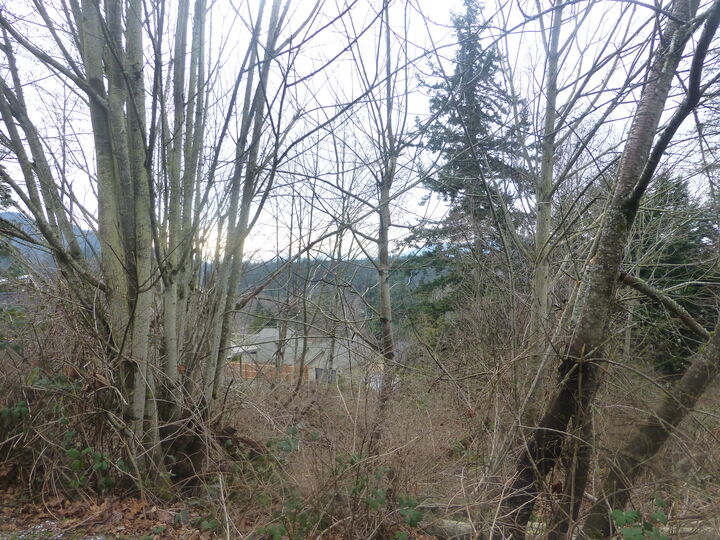 Property Photo: Gorgeous bay, city & island view lot 1818 36th St WA 98229